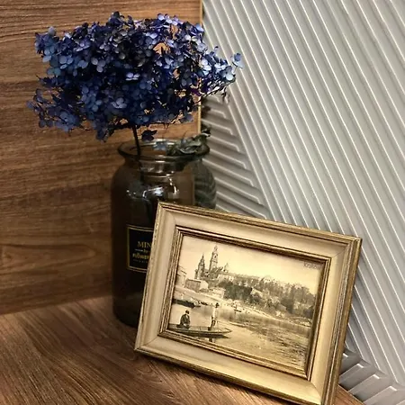 Blue Orawska 5 Apartment *